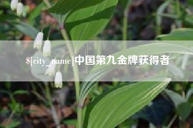 银川中国第九金牌获得者
