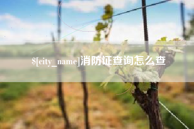 银川消防证查询怎么查