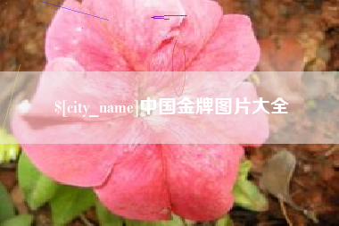 银川中国金牌图片大全