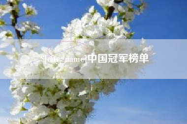 银川中国冠军榜单