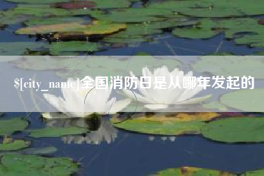 银川全国消防日是从哪年发起的