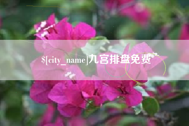 银川九宫排盘免费