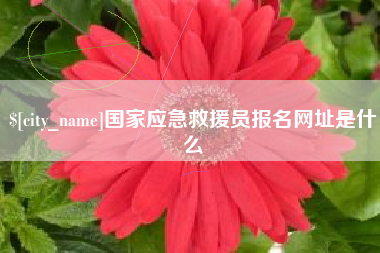 银川国家应急救援员报名网址是什么