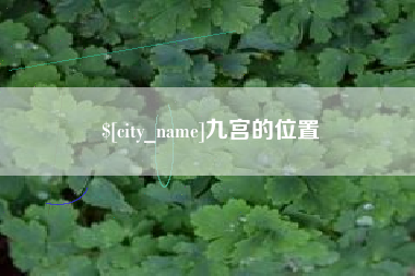 银川九宫的位置