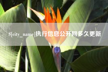 银川执行信息公开网多久更新