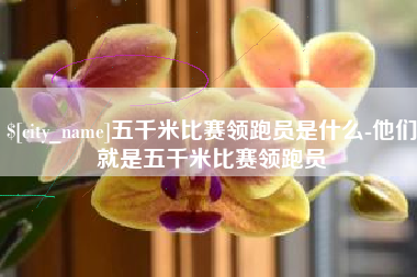 银川五千米比赛领跑员是什么-他们就是五千米比赛领跑员