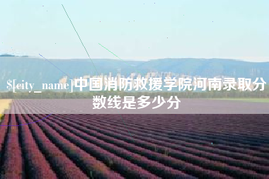 银川中国消防救援学院河南录取分数线是多少分