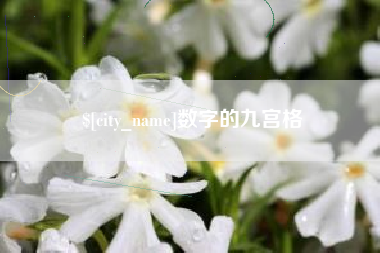 银川数字的九宫格