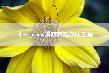 银川消防救援总队王星