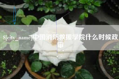 银川中国消防救援学院什么时候政审