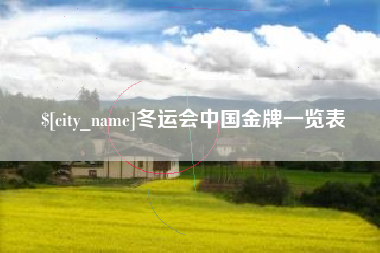 银川冬运会中国金牌一览表