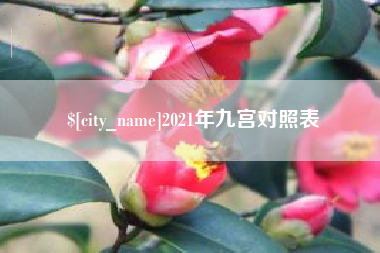 银川2021年九宫对照表