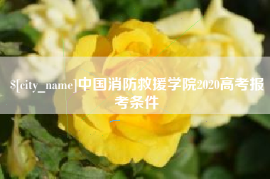 银川中国消防救援学院2020高考报考条件