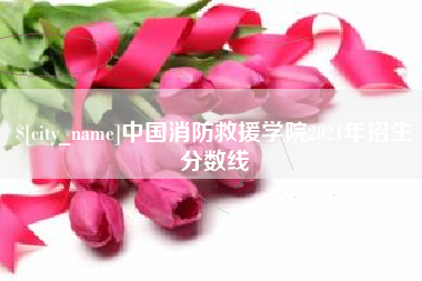 银川中国消防救援学院2021年招生分数线