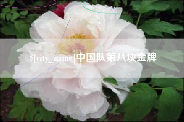 银川中国队第八块金牌
