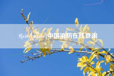 银川中国消防在线查询