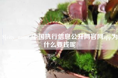 银川中国执行信息公开网官网app为什么要钱呢