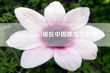 银川现在中国哪几个金牌