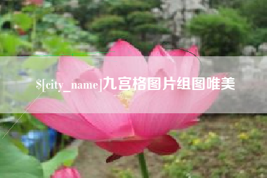 银川九宫格图片组图唯美