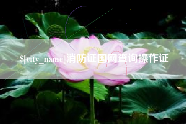 银川消防证国网查询操作证