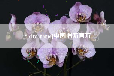 银川中国消防官方