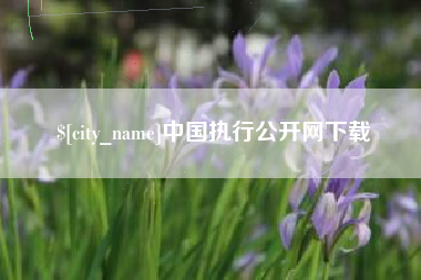 银川中国执行公开网下载
