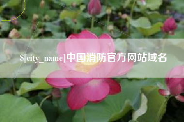 银川中国消防官方网站域名