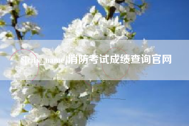 银川消防考试成绩查询官网