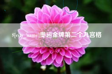 银川奥运金牌第二个九宫格