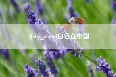 银川白色在中国