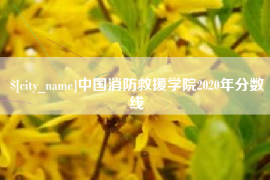 银川中国消防救援学院2020年分数线