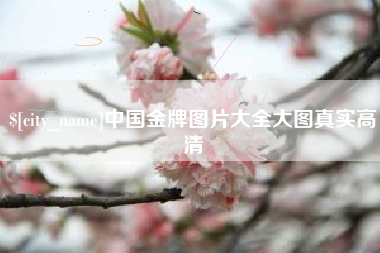 银川中国金牌图片大全大图真实高清