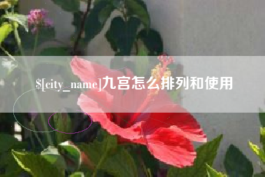 银川九宫怎么排列和使用