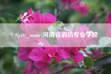 银川河南省消防专业学校