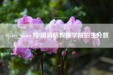 银川中国消防救援学院招生分数