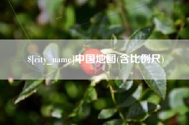 银川中国地图(含比例尺)