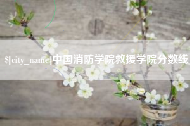 银川中国消防学院救援学院分数线