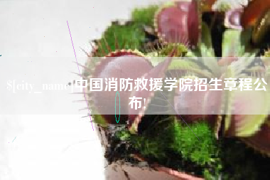 银川中国消防救援学院招生章程公布!