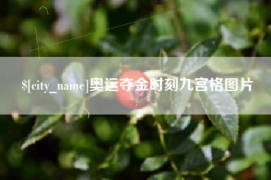 银川奥运夺金时刻九宫格图片