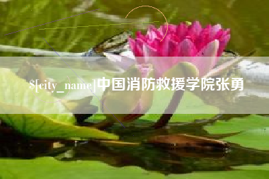银川中国消防救援学院张勇