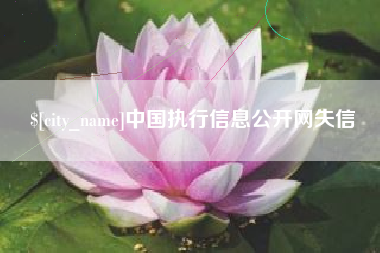 银川中国执行信息公开网失信