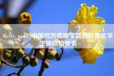 银川中国消防救援学院招收青年学生体格检查表