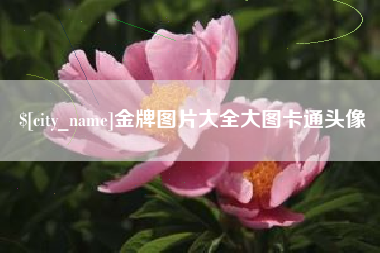 银川金牌图片大全大图卡通头像