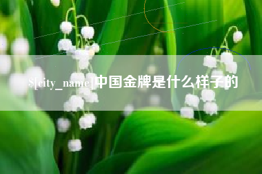 银川中国金牌是什么样子的